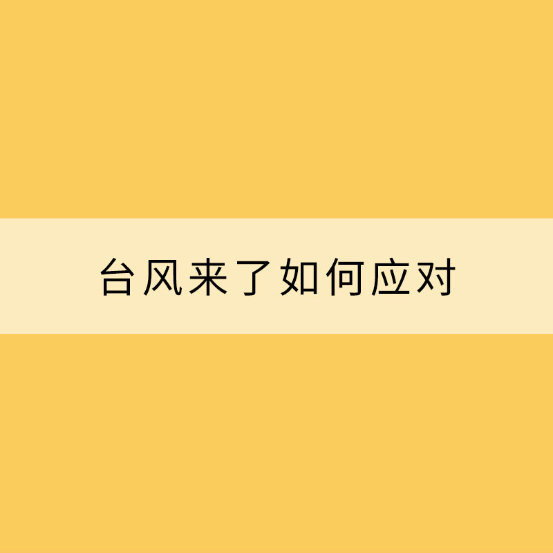 臺風來了如何應對？get防御自救指南助你安全避險